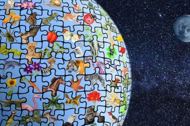 Puzzeln als Hobby – Gehirnjogging für Groß und Klein