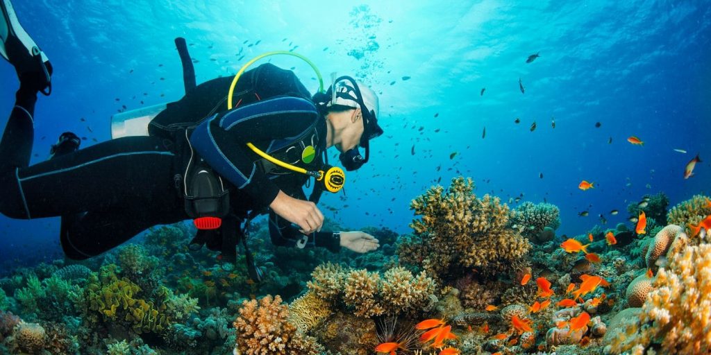 Schwerelos unter Wasser: Tauchen als faszinierendes Hobby